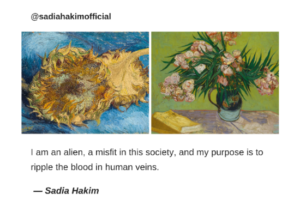 I am an alien, a misfit in this society, and my purpose is to ripple the blood in human veins. sadia hakim