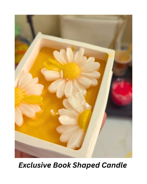 Collector's Edition - Limited Release - Image 3