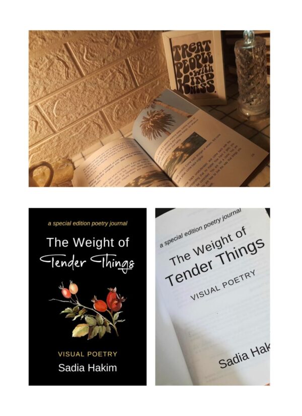 Book Box Basic Edition - Image 3